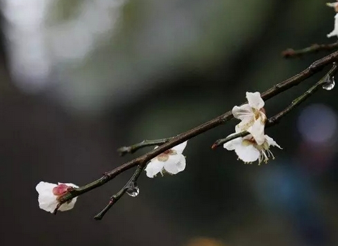 佛教相信在劫难逃吗