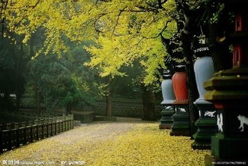 讲寺与禅寺有什么区别