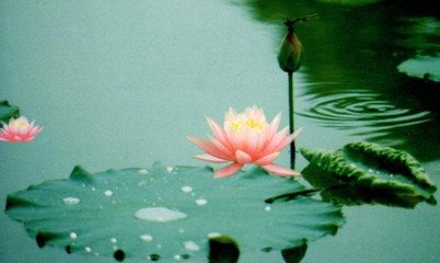 星云大师：我究竟用了多少钱