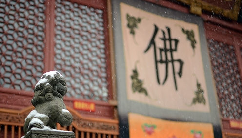 为何说人身难得 为何说人身难得