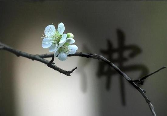 佛在心中为什么还要皈依 佛在心中为什么还要皈依