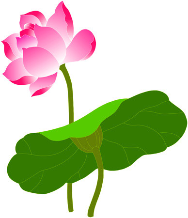 莲花与佛教的渊源 