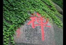 以心传心的禅宗