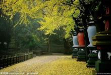 讲寺与禅寺有什么区别