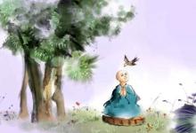 济群法师:学佛是消极的选择吗