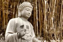 如孝法师:感谢生命中的每一个波折