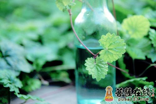 什么是戒四别 什么是戒四别