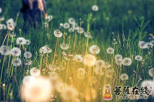 佛教的二十四诸天 佛教的二十四诸天