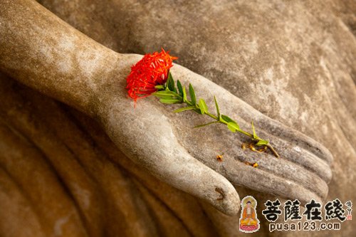 什么是依法不依人 什么是依法不依人