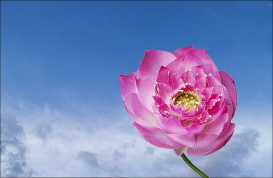 我的人身是否“暇满”