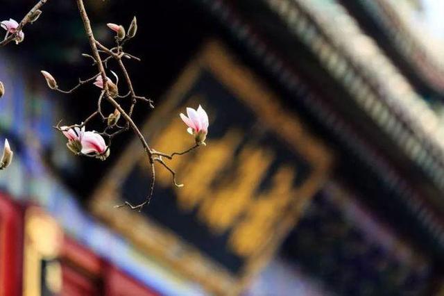 地藏菩萨传奇：中年汉子手舞足蹈，嘴里发出的是女人声音