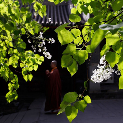 佛法贯穿生命每一天 佛法贯穿生命每一天