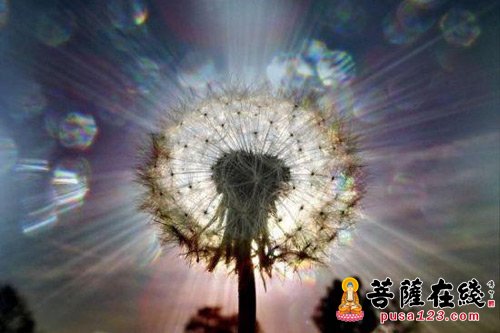浅谈学佛的一些感悟 浅谈学佛的一些感悟