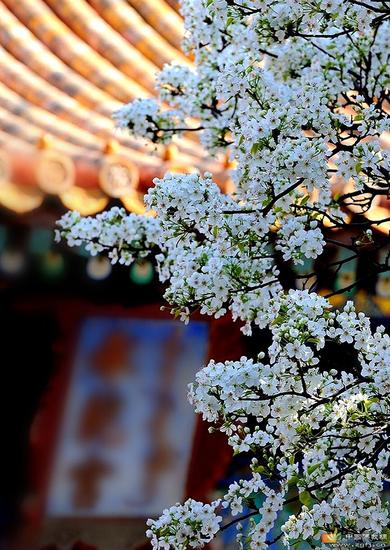 女教师洞悉苦空无常辞职专修