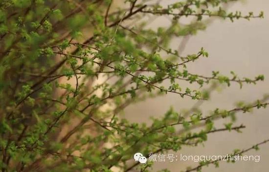 参学感悟:转心之后是快乐 参学感悟:转心之后是快乐