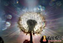 浅谈学佛的一些感悟