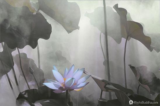 因闻思佛法而再续慧命 因闻思佛法而再续慧命