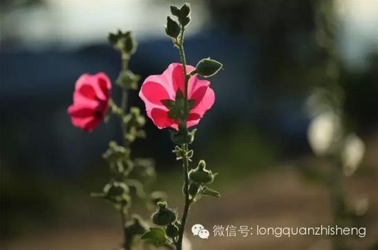 出家感悟：人不可以用一生来衡量