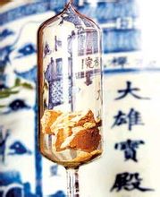 玄奘法师介绍_玄奘法师个人资料