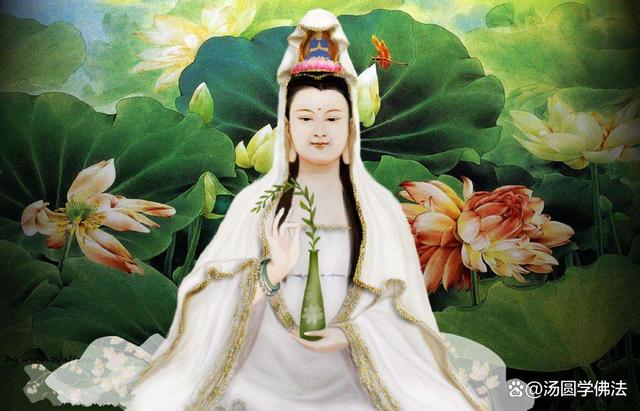 什么是水陆法会？