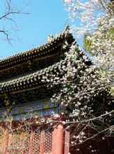 潭柘寺