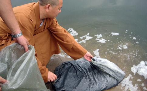 切莫误解了佛教放生的本意及注意事项
