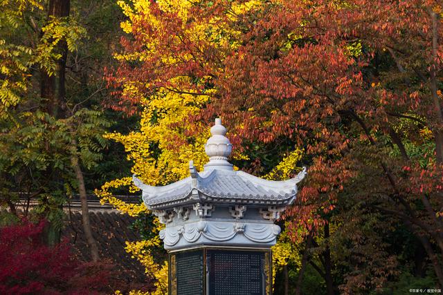 中国的九大知名寺庙，你到访过哪几座寺庙？快来看看