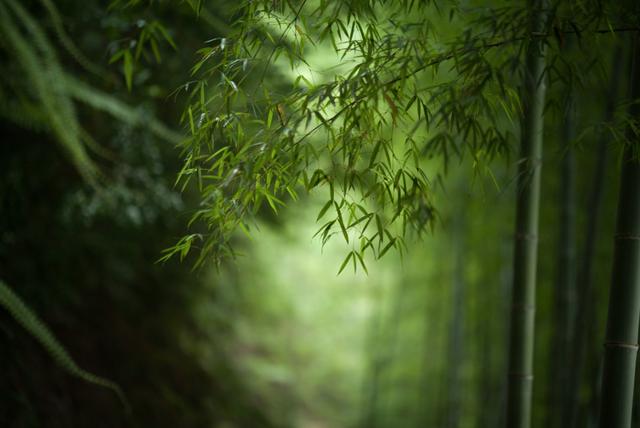 第三世为山灵祐：“不能叫它净瓶，你叫它什么？”