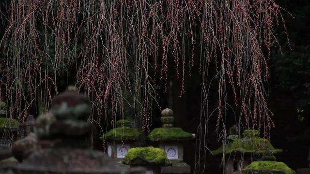 第三世溪山灵祐：咳嗽一声，走几步路，“此人不适合居为山”