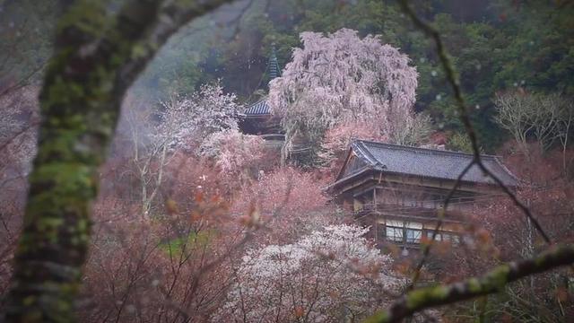 道悟禅师：世寿六十，僧腊三十五