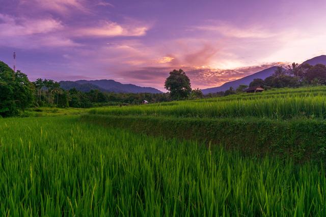 东坡居士的由来，你知道吗？