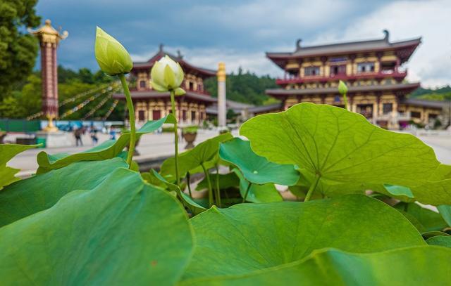 戒场初设，菩萨海会：东林寺净土苑筹办在家菩萨戒法会