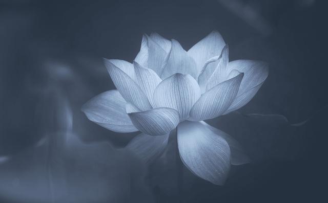 「故事」寒山大师：分别一年多，终于回到了家乡