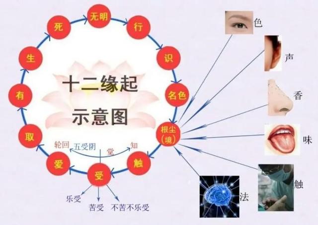 潘宗光教授：佛教中的“空”