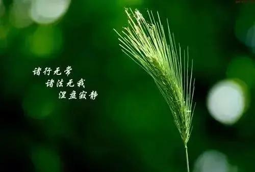 潘宗光教授：佛教中的“空”