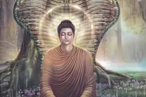 佛陀智慧解析：吃饭与睡觉的禅机奥秘，一则故事带你领悟禅意真谛