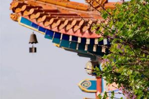 什么是执着？怎样算放下？