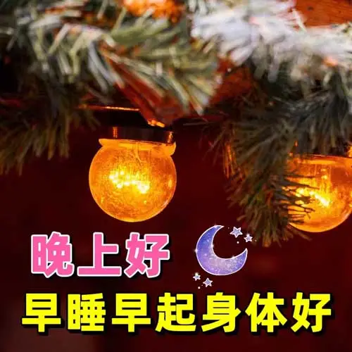 晚上好,晚安
