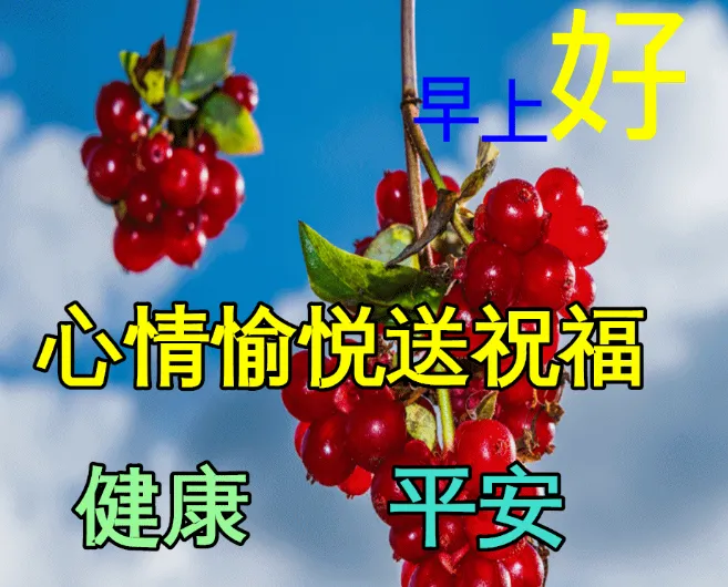 早安,早上好