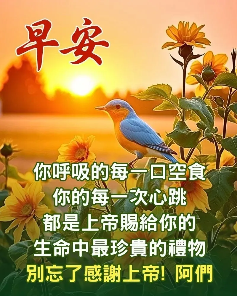 早安,早上好