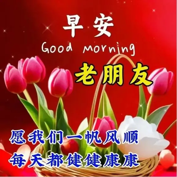 早安,早上好