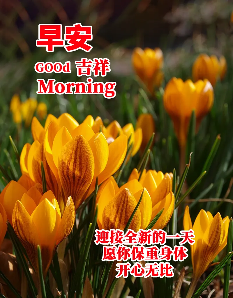 早安,早上好