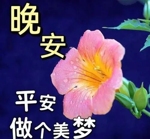 晚安,晚上好
