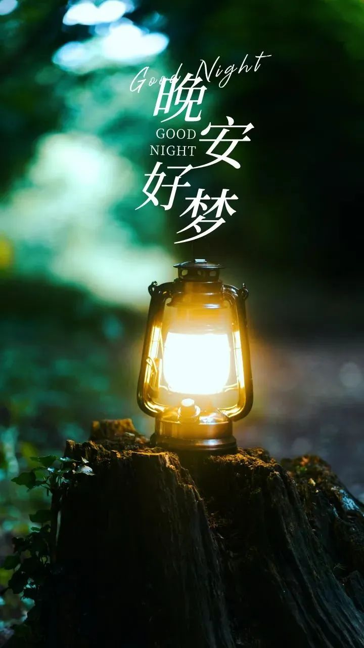 晚安,晚上好
