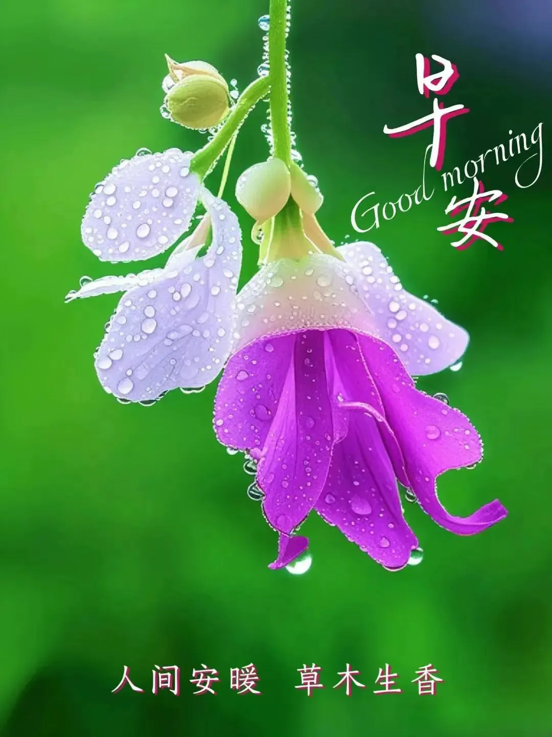 早安,早上好