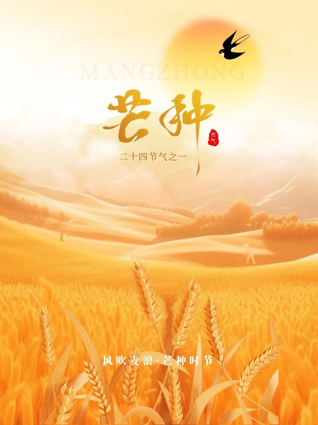 芒种