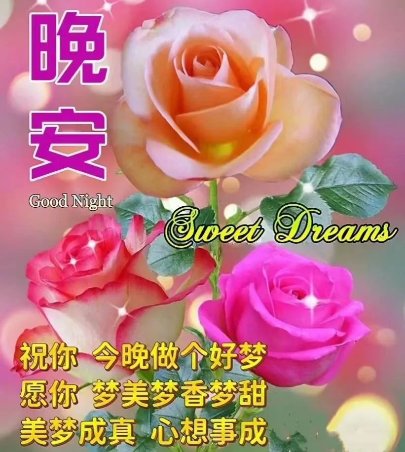 晚安,晚上好