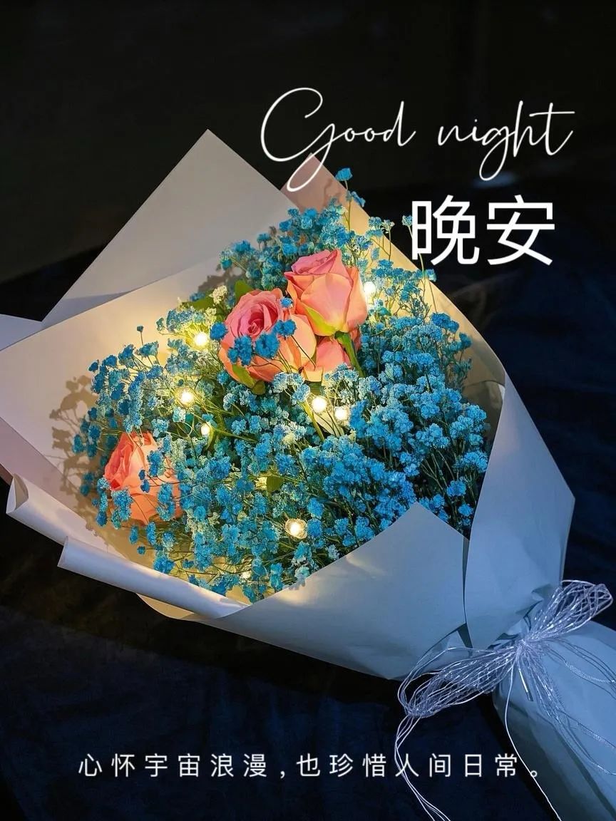 晚安,晚上好