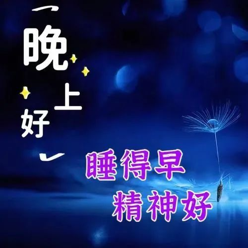 晚上好,晚安
