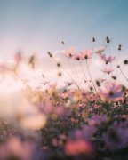 值得一看的励志语录，句句精辟，振奋人心！